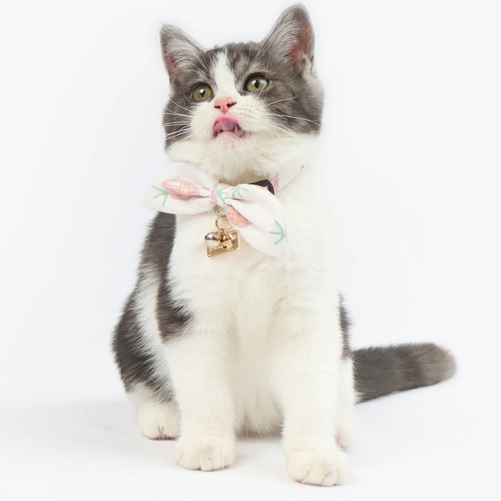 Touchcat  Pineapple Patterned Designer Cat Collar - Pink