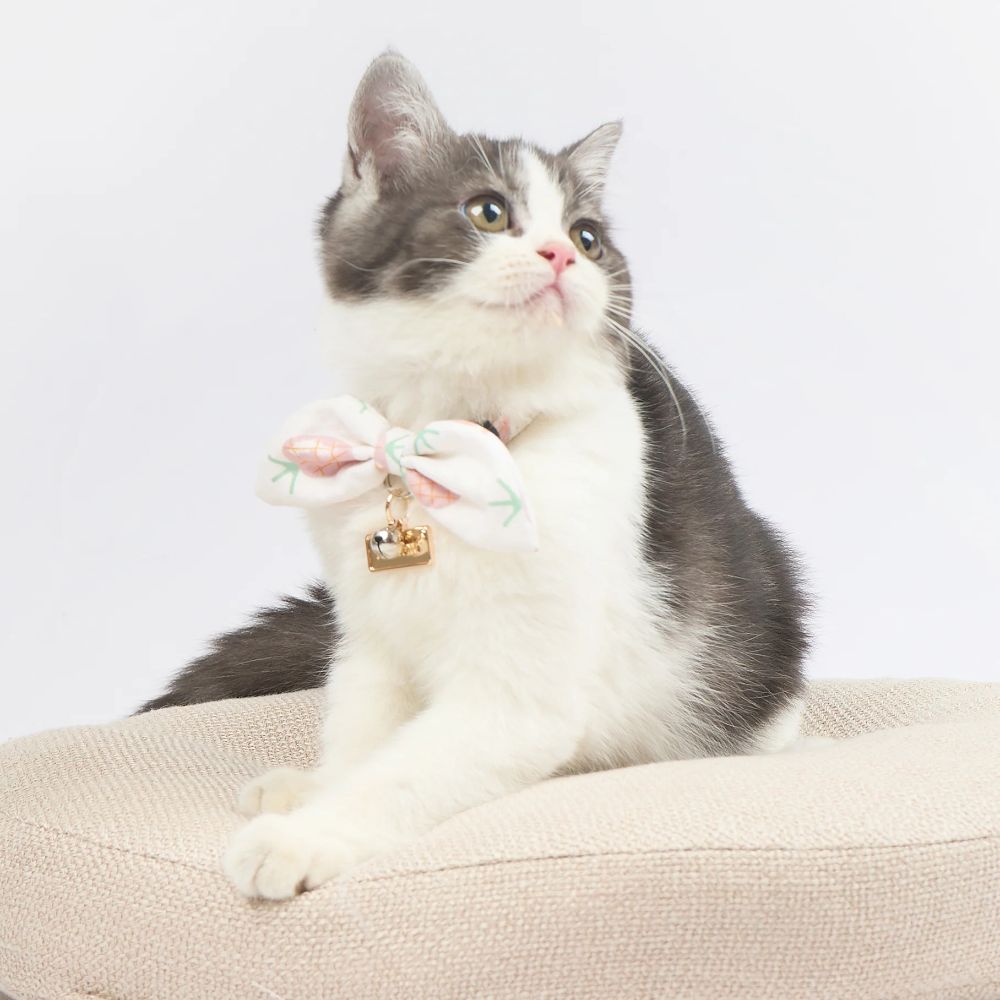 Touchcat  Pineapple Patterned Designer Cat Collar - Pink