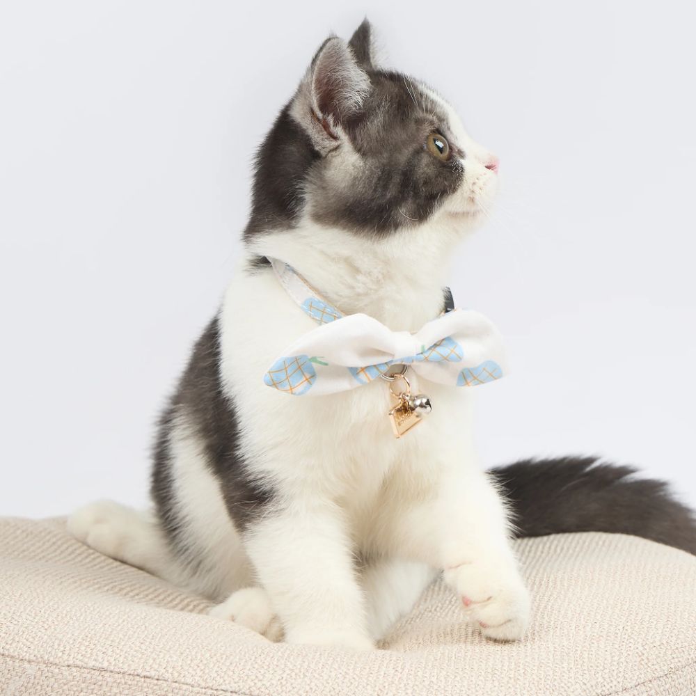 Touchcat  Pineapple Patterned Designer Cat Collar - Blue