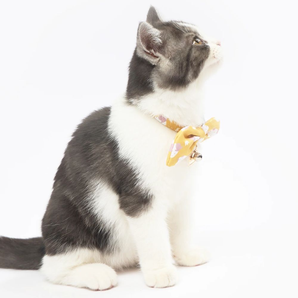 Touchcat  Shepherd Patterned Designer Cat Collar - Yellow