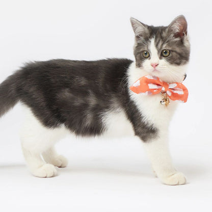 Touchcat  Shepherd Patterned Designer Cat Collar - Sunkist Orange