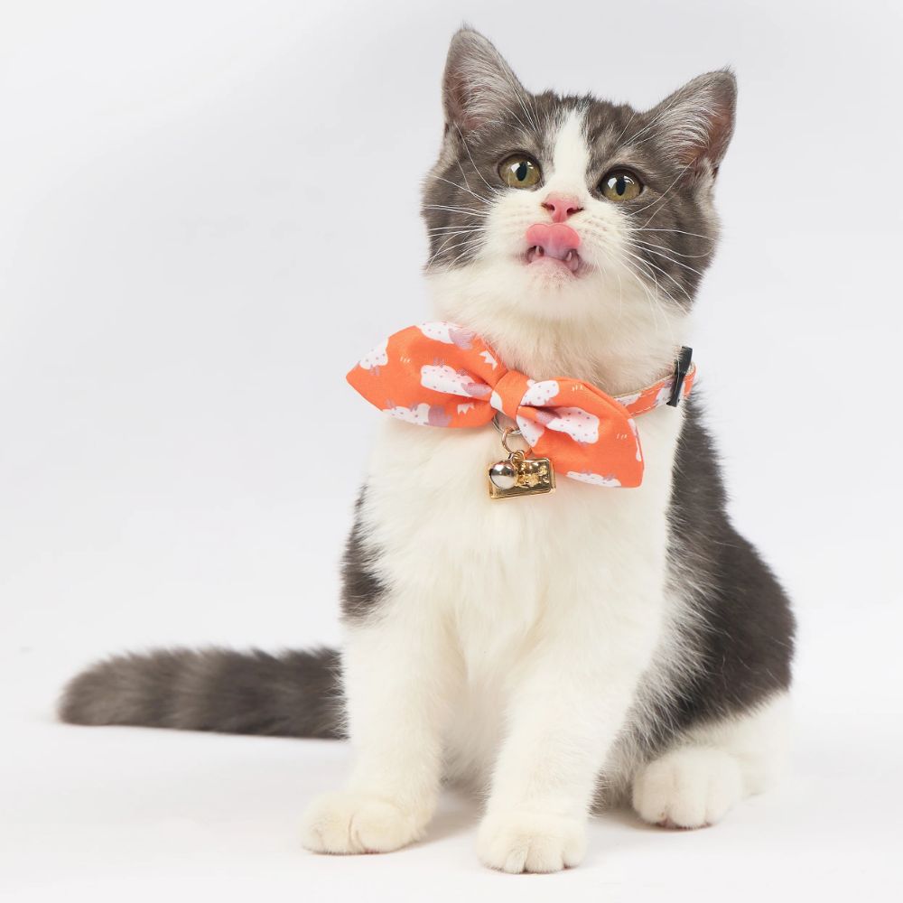 Touchcat  Shepherd Patterned Designer Cat Collar - Sunkist Orange