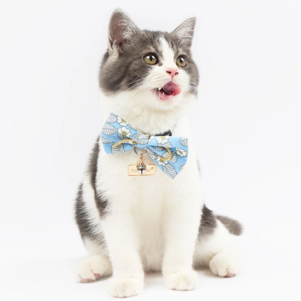 Touchcat  Floral Patterned Designer Cat Collar - Blue
