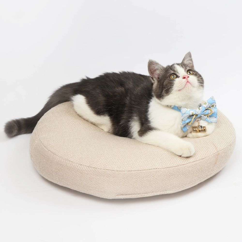 Touchcat  Floral Patterned Designer Cat Collar - Blue