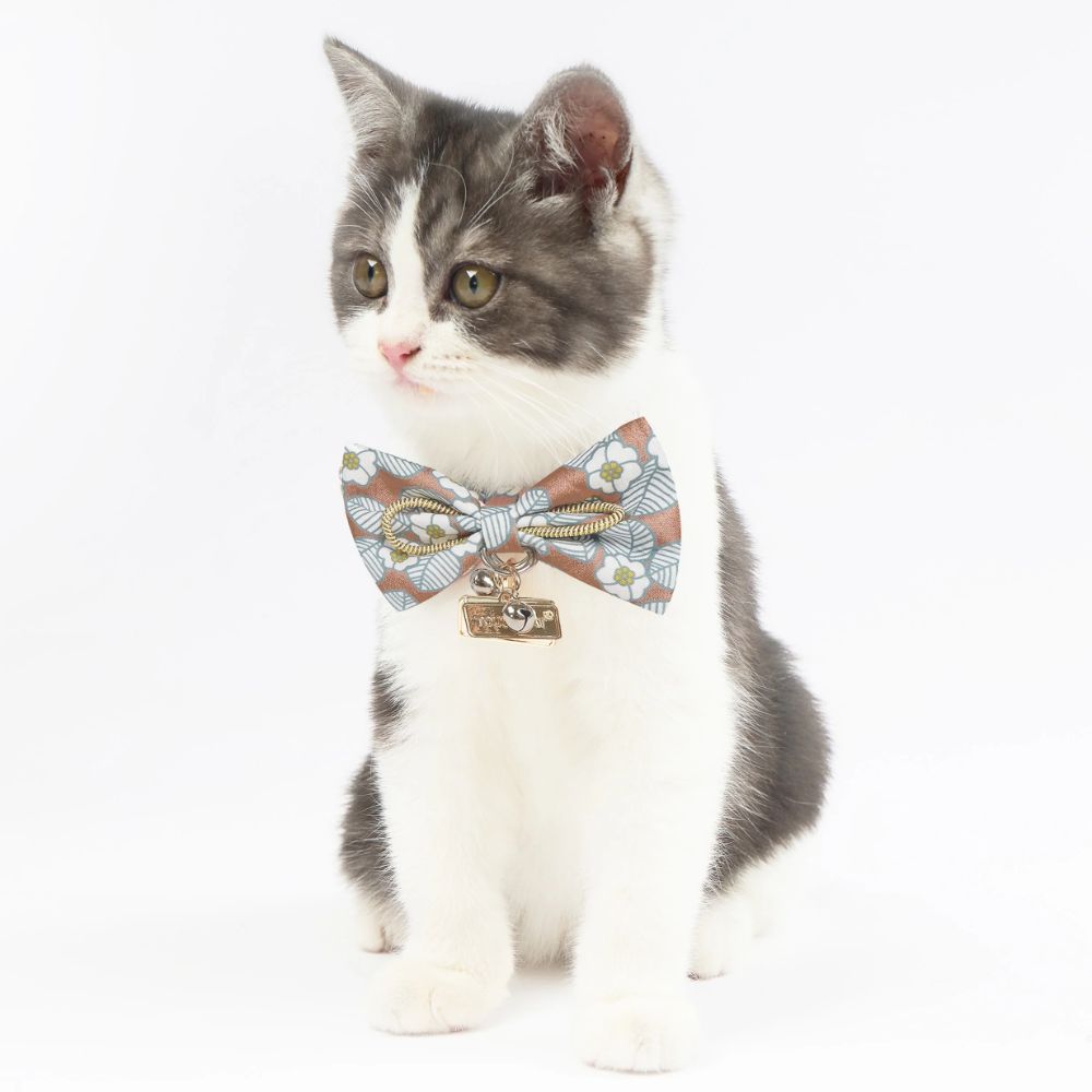 Touchcat  Floral Patterned Designer Cat Collar - Brown
