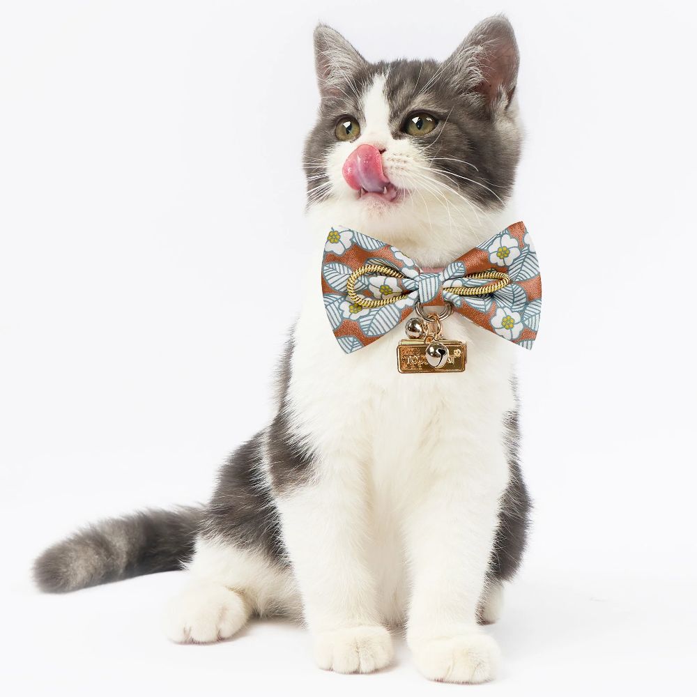 Touchcat  Floral Patterned Designer Cat Collar - Brown