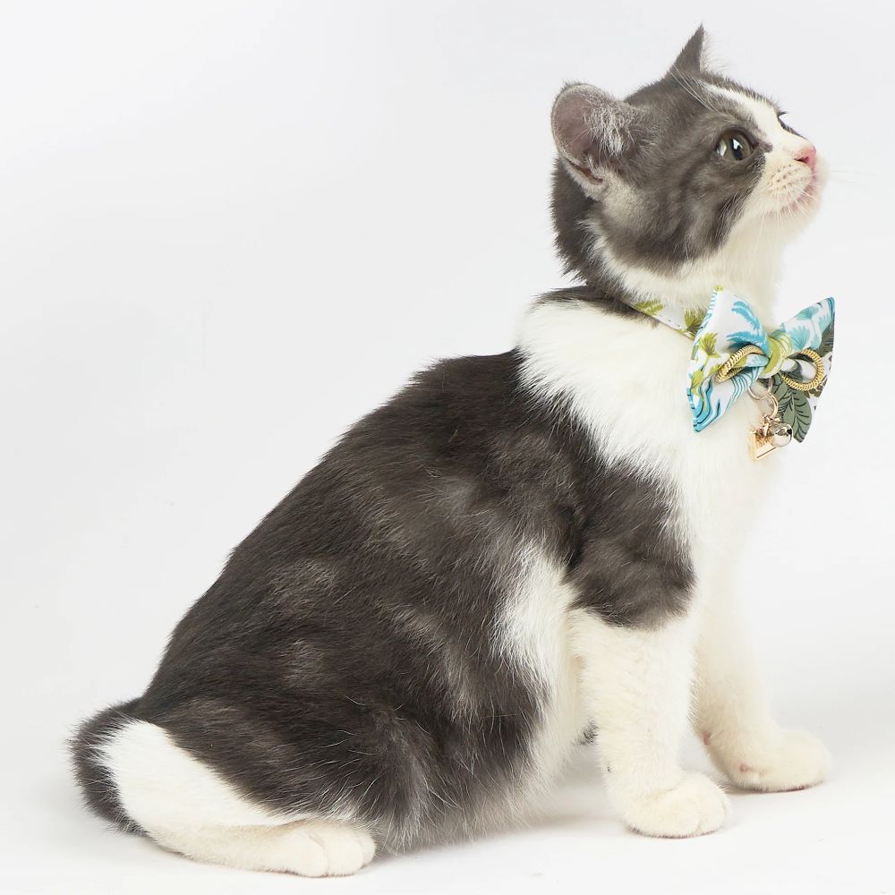 Touchcat  Tropical Patterned Designer Cat Collar