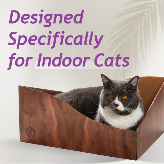 Hideaway Cat Scratcher Box (Dark Cherry)