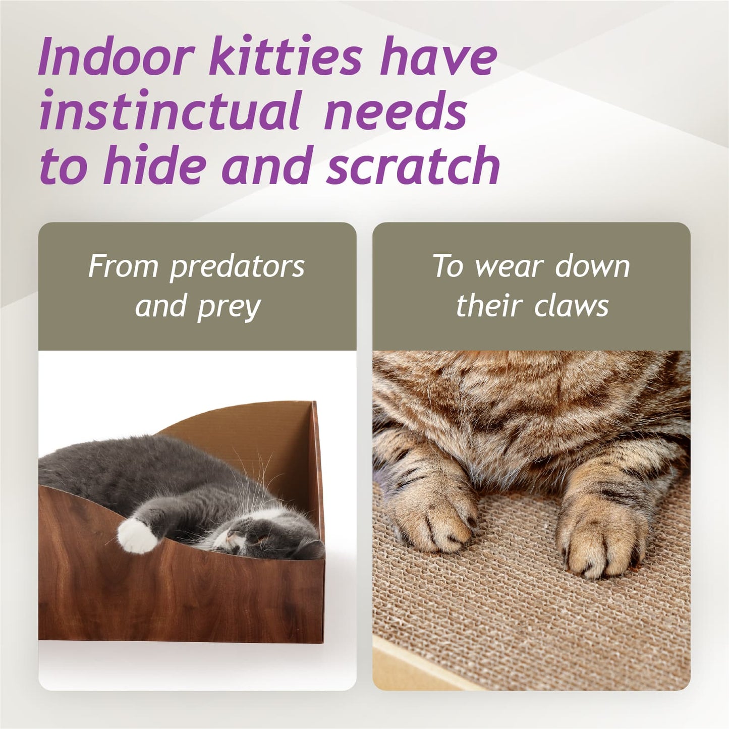 Hideaway Cat Scratcher Box (Dark Cherry)