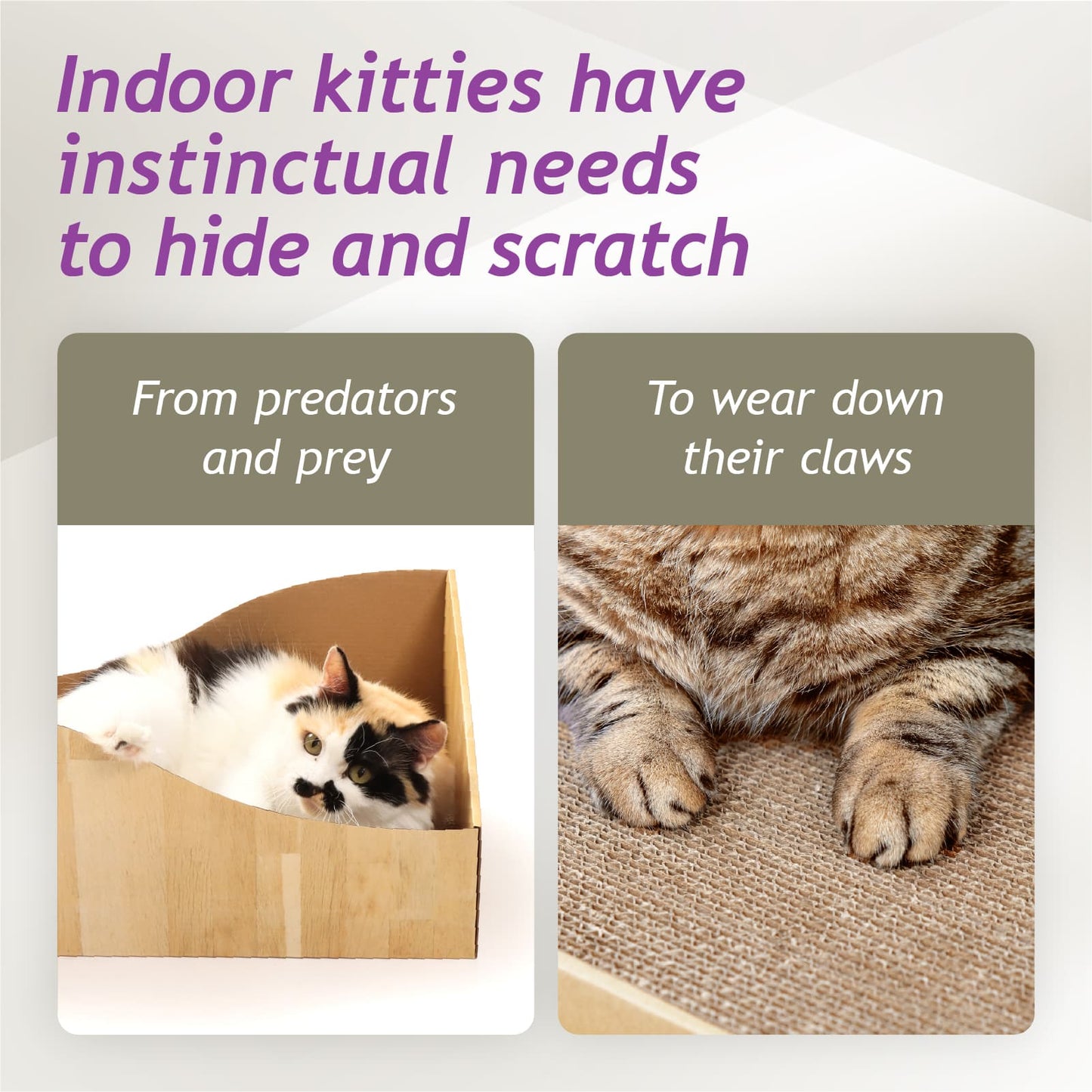 Hideaway Cat Scratcher Box (Oak)