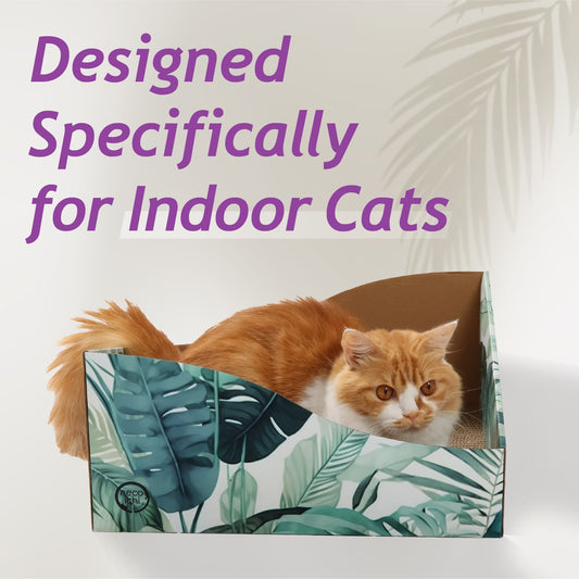 Hideaway Cat Scratcher Box (Go Green)