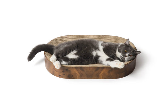 Cozy Cat Scratcher Bowl Capsule (Dark Cherry)