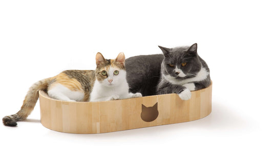 Cozy Cat Scratcher Bowl Capsule (Oak)