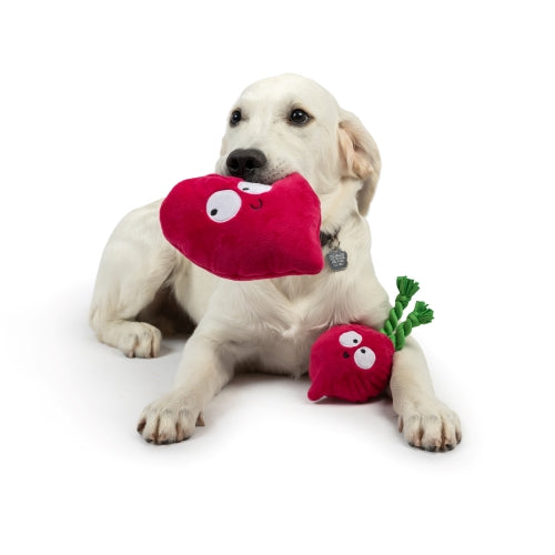Pop 'n Fetch Beet Dog Toy