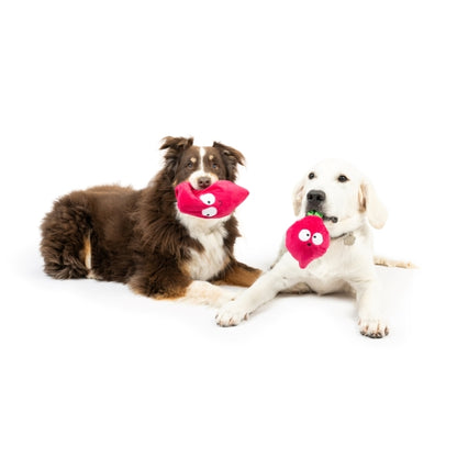Pop 'n Fetch Beet Dog Toy