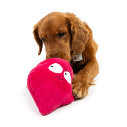 Pop 'n Fetch Beet Dog Toy