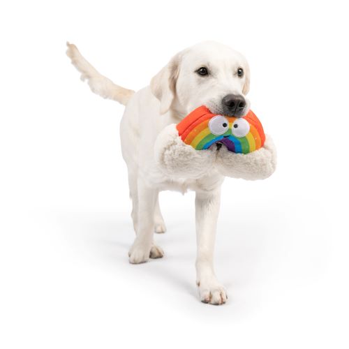 Happy Rainbow Dog Toy