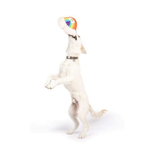 Happy Rainbow Dog Toy