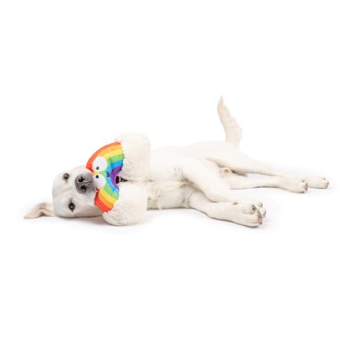 Happy Rainbow Dog Toy