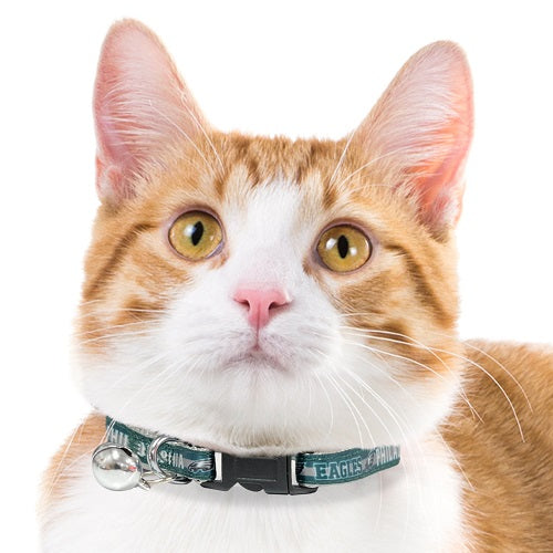 PHILADELPHIA EAGLES SATIN CAT COLLAR