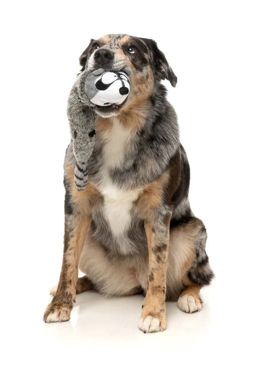 FuzzYard Run Along Raccoon Plush Dog Toy