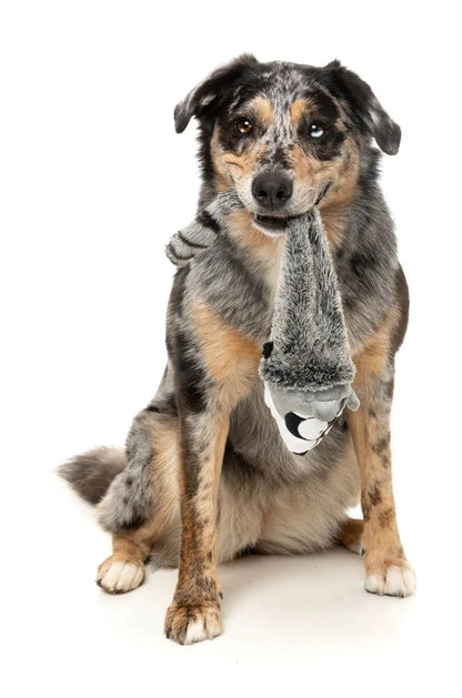 FuzzYard Run Along Raccoon Plush Dog Toy