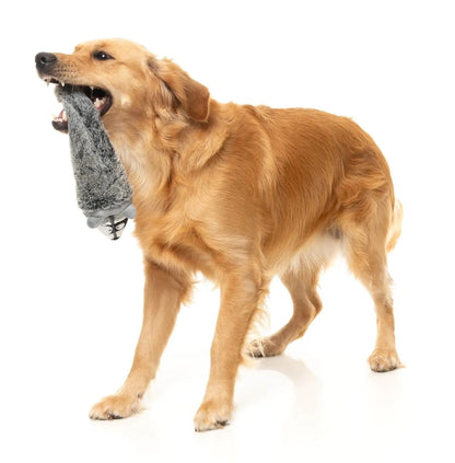 FuzzYard Run Along Raccoon Plush Dog Toy