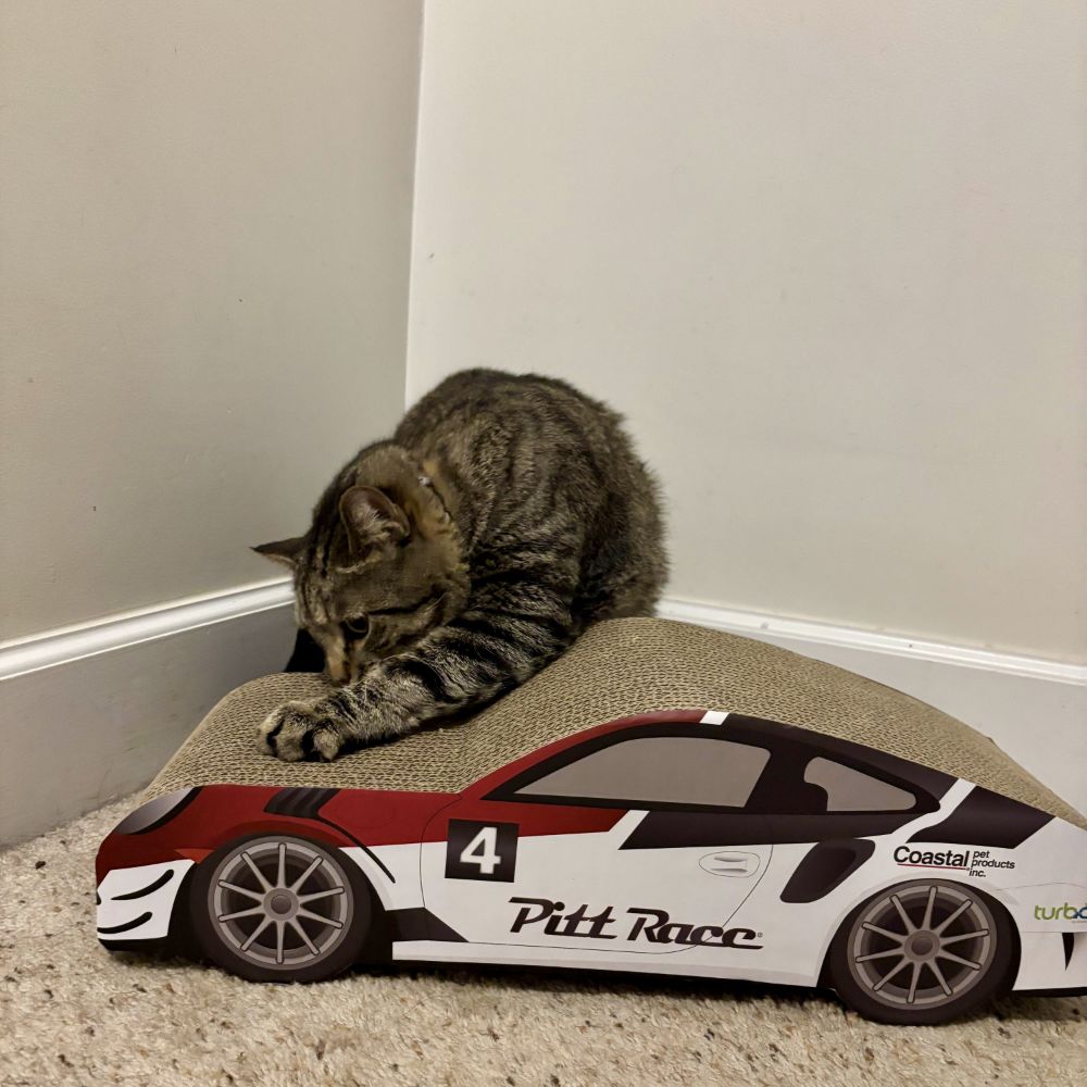 Turbo by Coastal Race Car Cat Scratcher