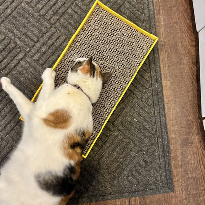 Turbo by Coastal Rectangle Cat Scratcher