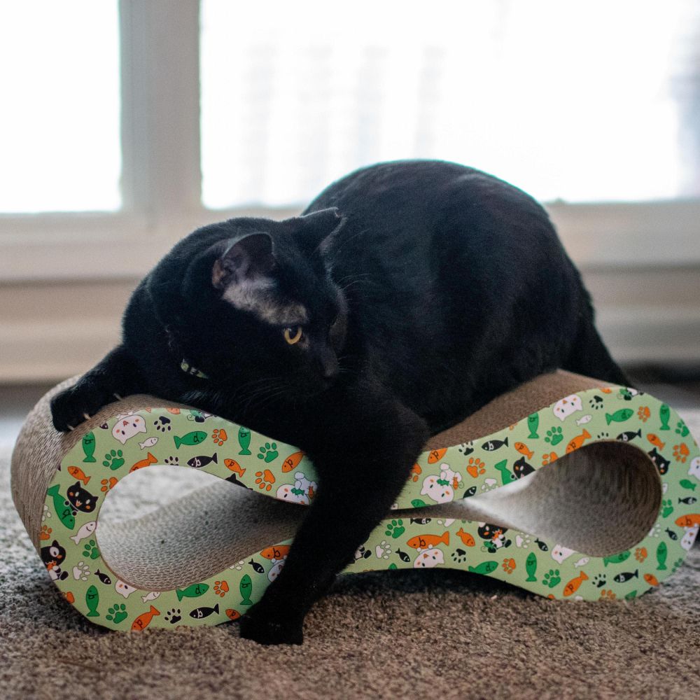 Turbo by Coastal Infinity Cat Scratcher