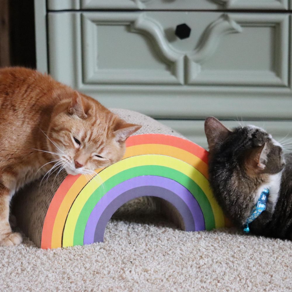 Turbo by Coastal Rainbow Stack Cat Scratcher