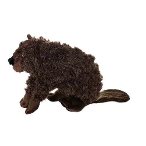 Mighty Nature Series - Beaver