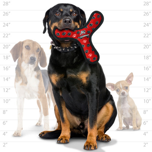 Tuffy Ultimate Boomerang