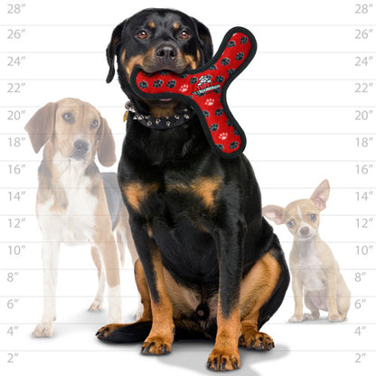 Tuffy Ultimate Boomerang