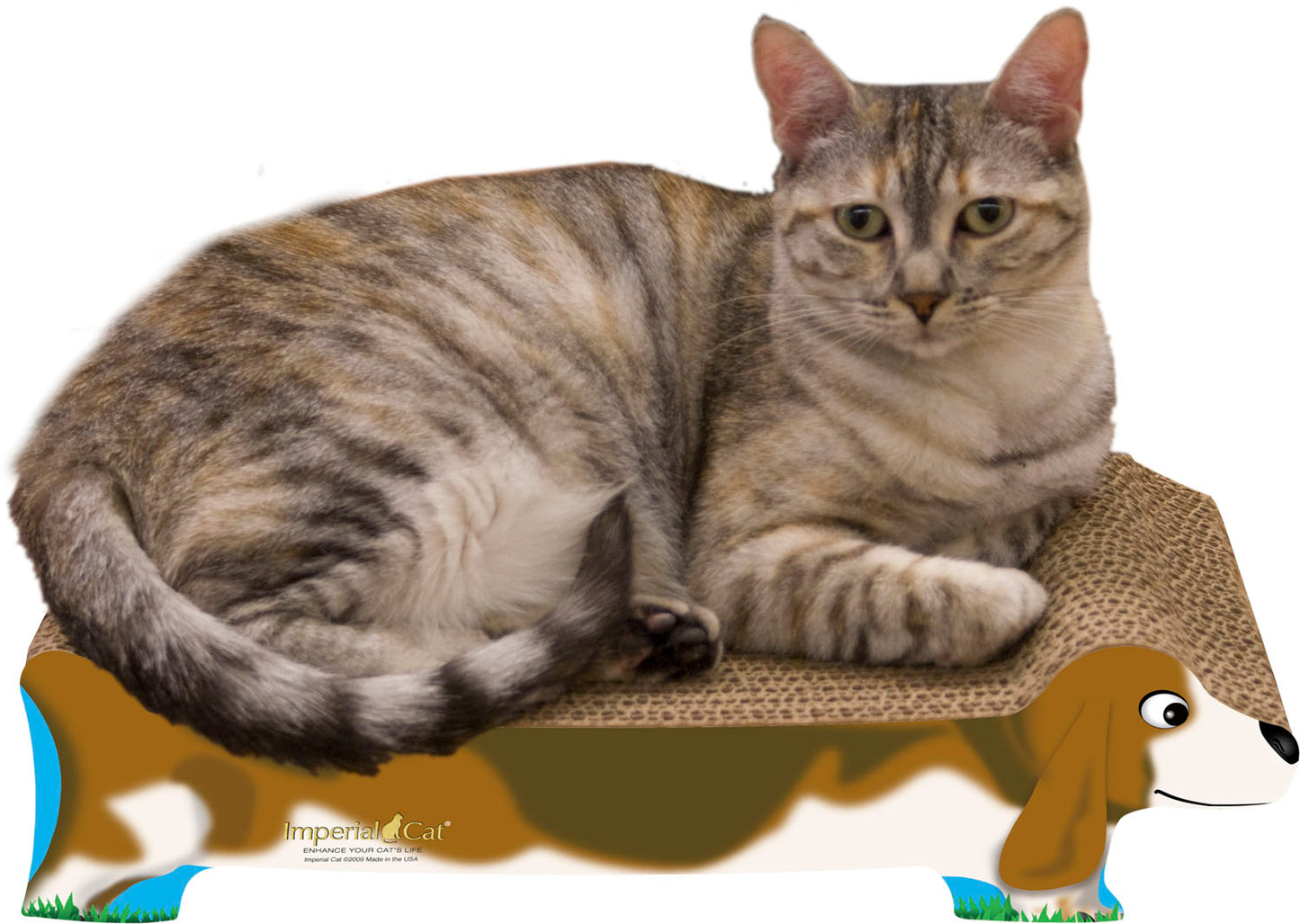 Scratch 'n Shapes Dog Cat Scratcher