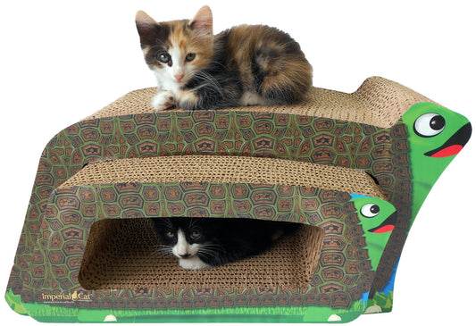 Turtle Scratcher - 2 in 1