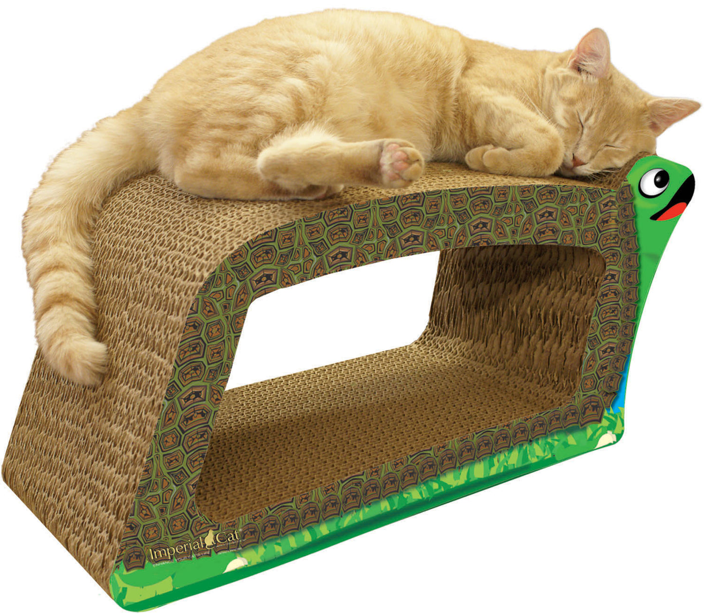 Turtle Scratcher - 2 in 1