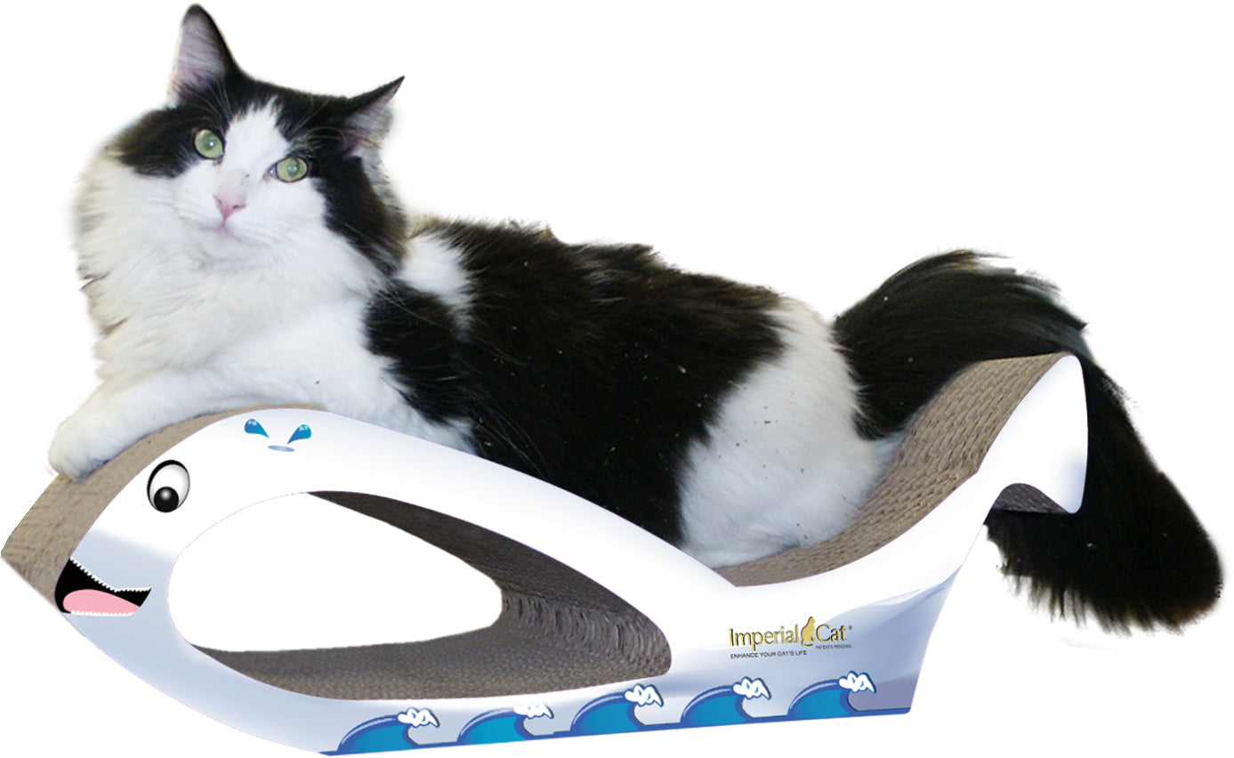 Scratch 'n Shapes Whale Scratcher
