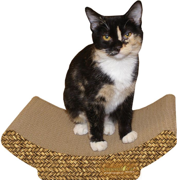 Scratch 'n Shapes Cozy Curl Scratcher