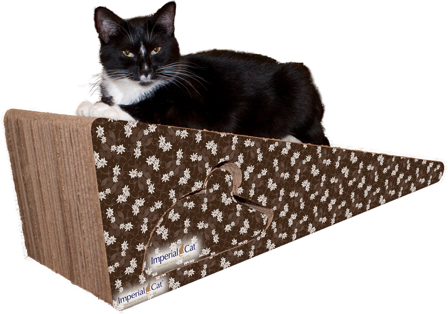Scratch 'n Shapes Giant Wedge Scratcher