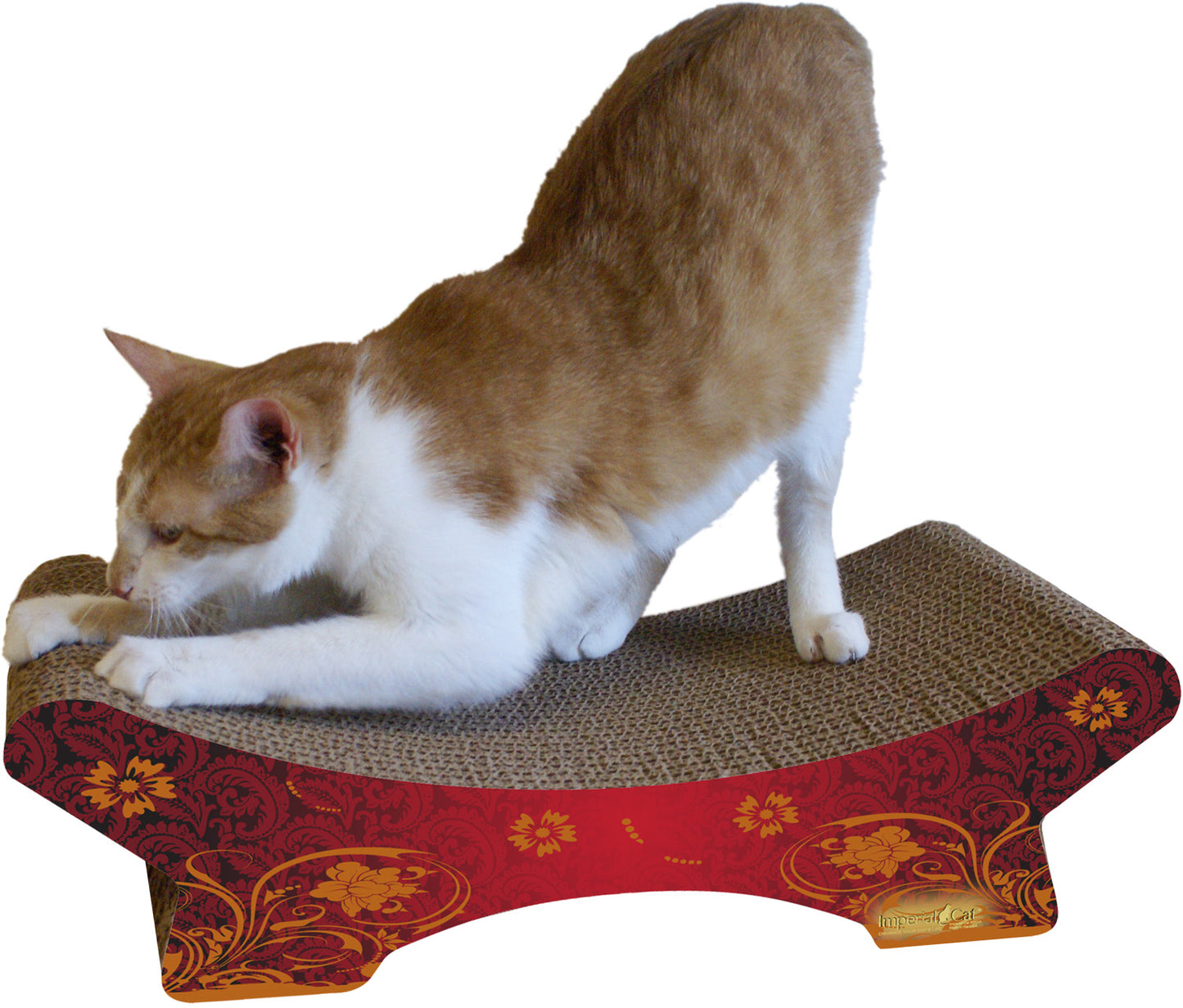 Scratch 'n Shapes The Zen Scratcher