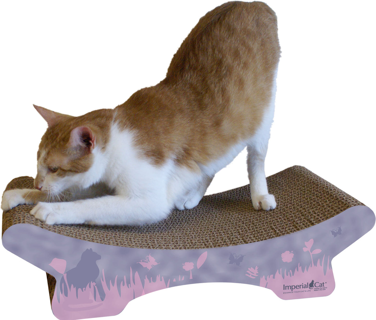 Scratch 'n Shapes The Zen Scratcher
