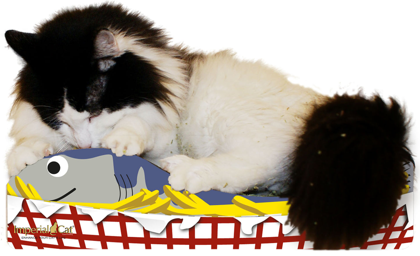 Scratch 'n Shapes Fish N' Chips Scratcher