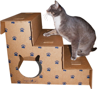 Play 'n Step Pet Steps