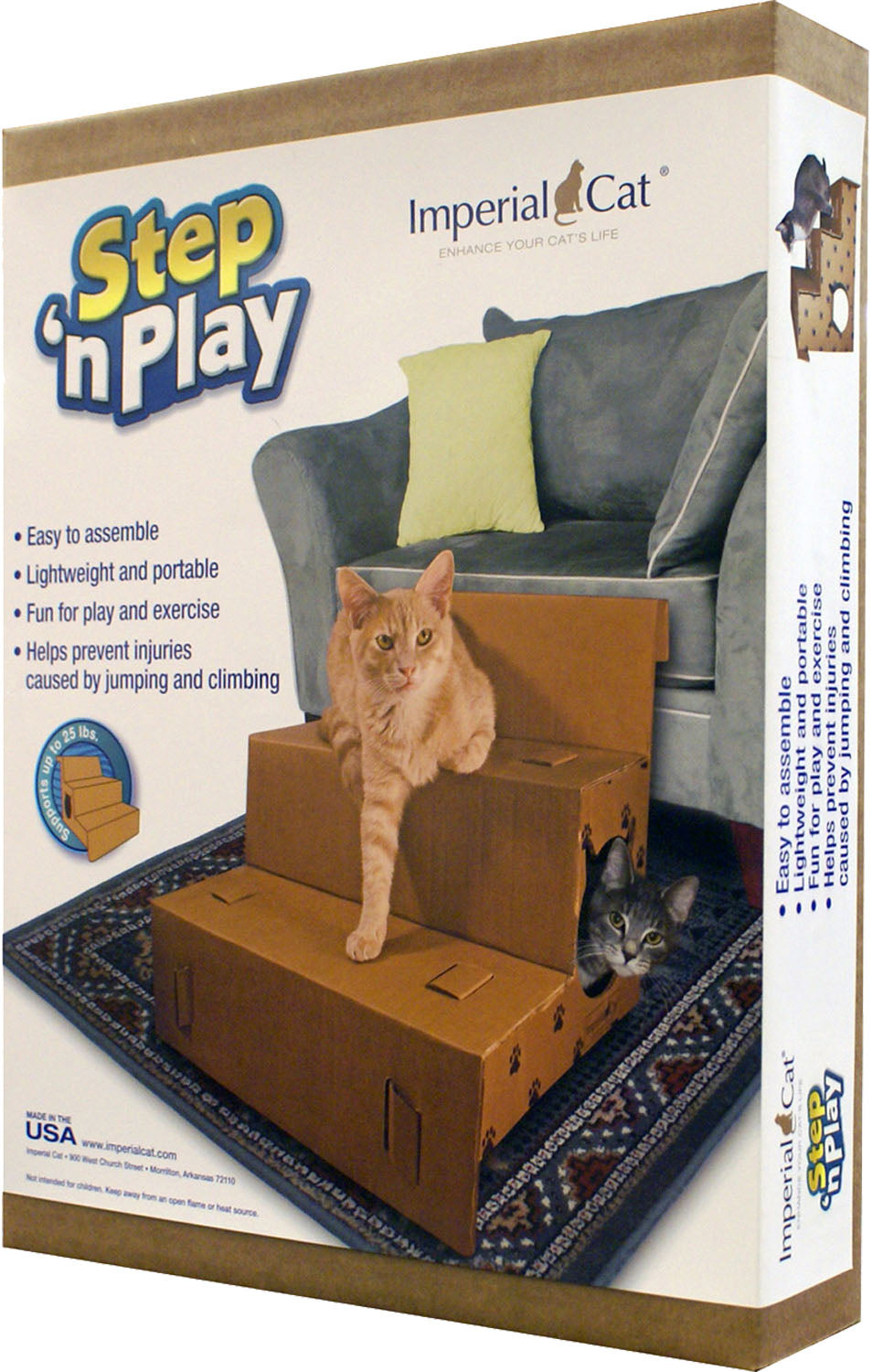 Play 'n Step Pet Steps