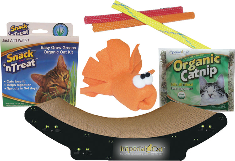 All-American Kitten Kit