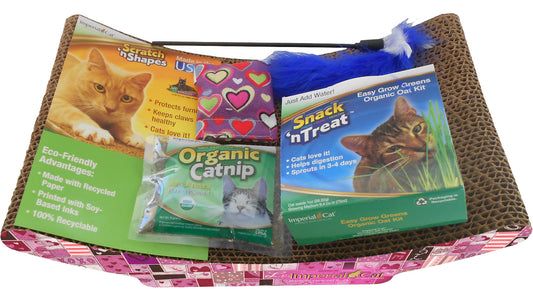 Valentine Kitten Gift Set