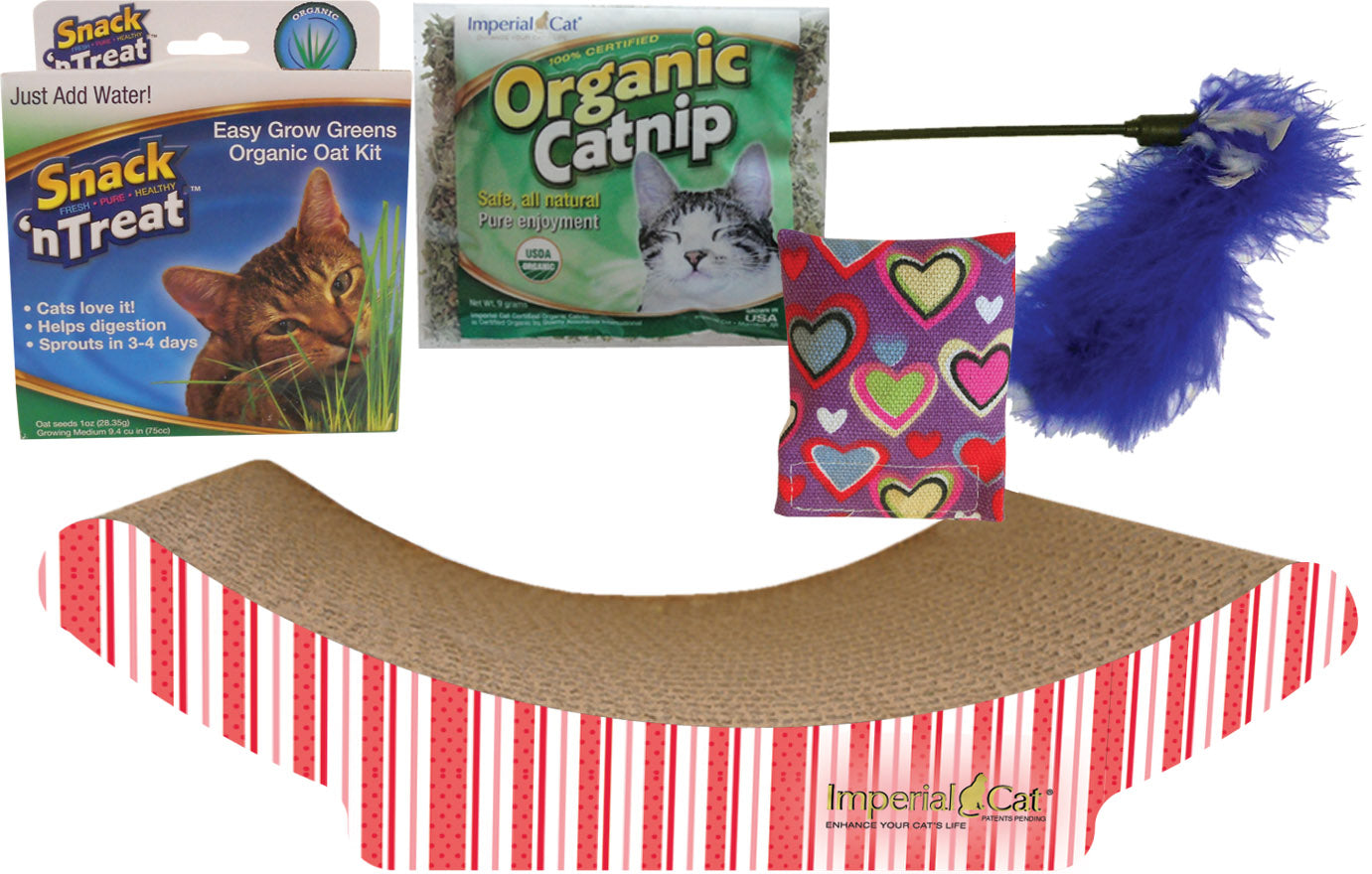 Valentine Kitten Gift Set