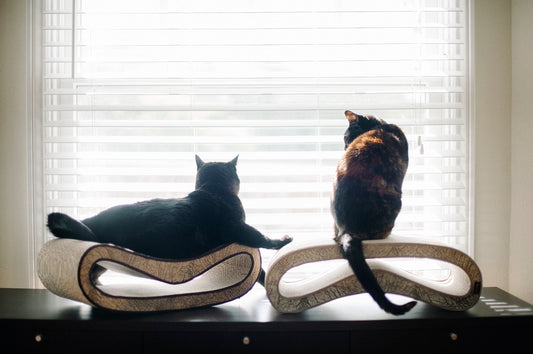 The Leeloo Cat Scratcher