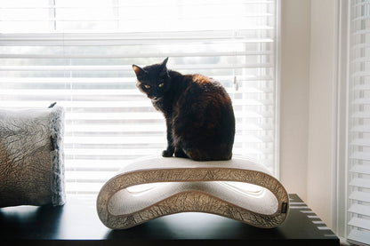 The Leeloo Cat Scratcher